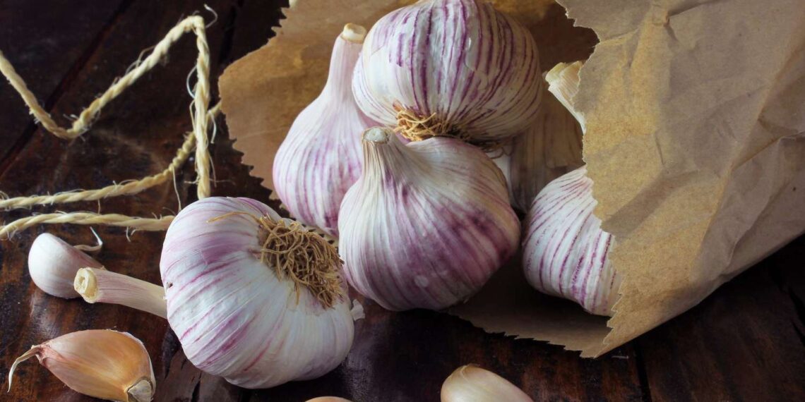 store garlic