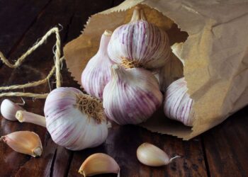 store garlic