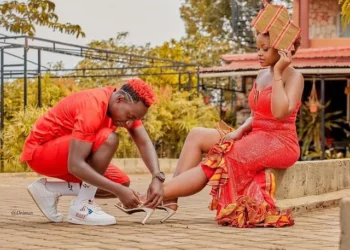 Momo 19 welcome twins