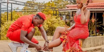 Momo 19 welcome twins