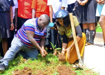 judith planting trees