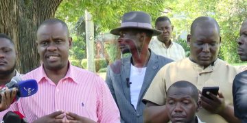 The Rise and Fall: Why Pallaso and Alien Skin Were Banned from Shows